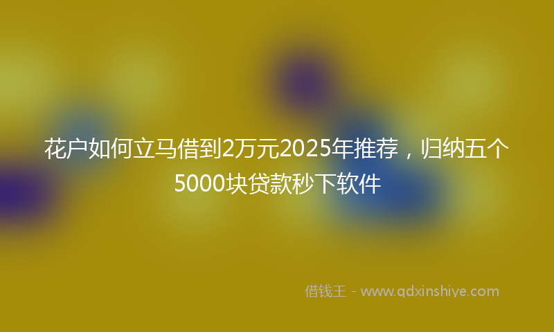 花户如何立马借到2万元2025年推荐，归纳五个5000块贷款秒下软件