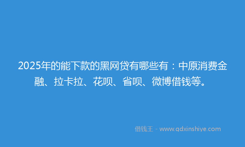 2025年的能下款的黑网贷有哪些有：中原消费金融、拉卡拉、花呗、省呗、微博借钱等。