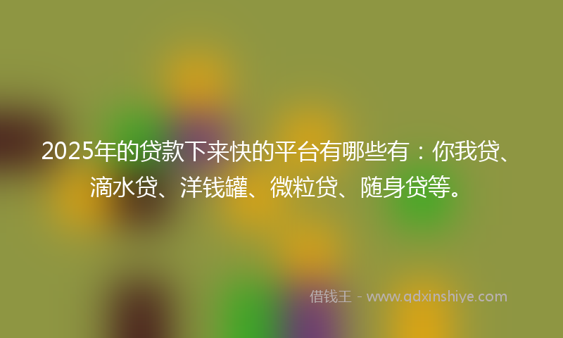 2025年的贷款下来快的平台有哪些有：你我贷、滴水贷、洋钱罐、微粒贷、随身贷等。