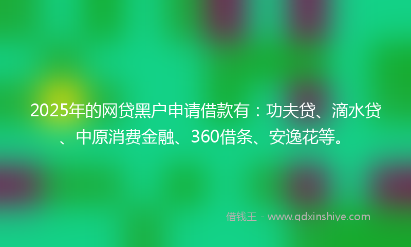 2025年的网贷黑户申请借款有：功夫贷、滴水贷、中原消费金融、360借条、安逸花等。