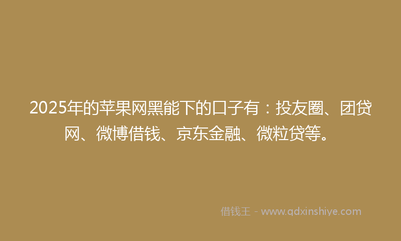 2025年的苹果网黑能下的口子有：投友圈、团贷网、微博借钱、京东金融、微粒贷等。