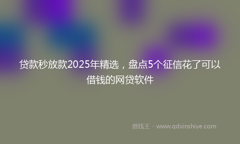 贷款秒放款2025年精选，盘点5个征信花了可以借钱的网贷软件
