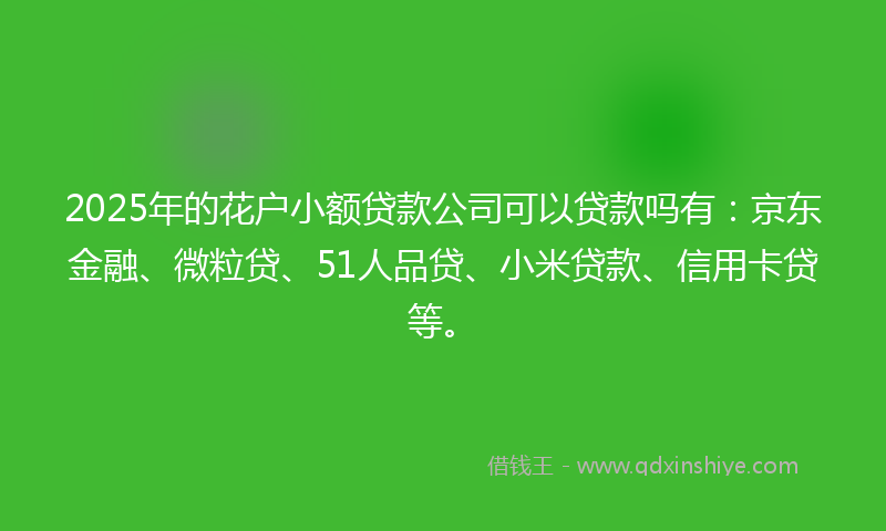 2025年的花户小额贷款公司可以贷款吗有：京东金融、微粒贷、51人品贷、小米贷款、信用卡贷等。