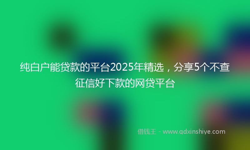 纯白户能贷款的平台2025年精选，分享5个不查征信好下款的网贷平台