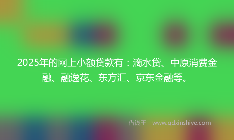 2025年的网上小额贷款有：滴水贷、中原消费金融、融逸花、东方汇、京东金融等。