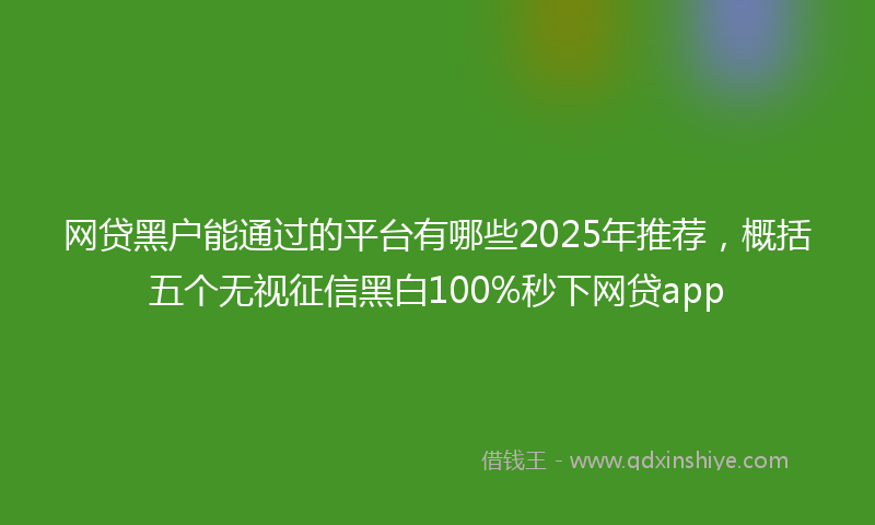 网贷黑户能通过的平台有哪些2025年推荐，概括五个无视征信黑白100%秒下网贷app