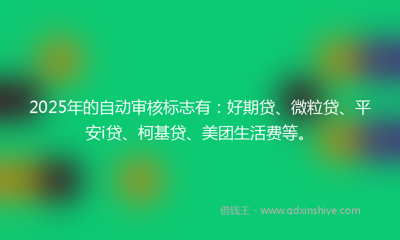 2025年的自动审核标志有：好期贷、微粒贷、平安i贷、柯基贷、美团生活费等。