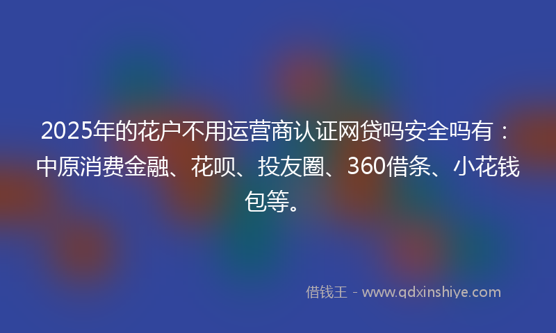 2025年的花户不用运营商认证网贷吗安全吗有：中原消费金融、花呗、投友圈、360借条、小花钱包等。