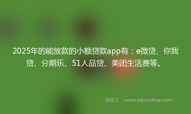 2025年的能放款的小额贷款app有：e微贷、你我贷、分期乐、51人品贷、美团生活费等。