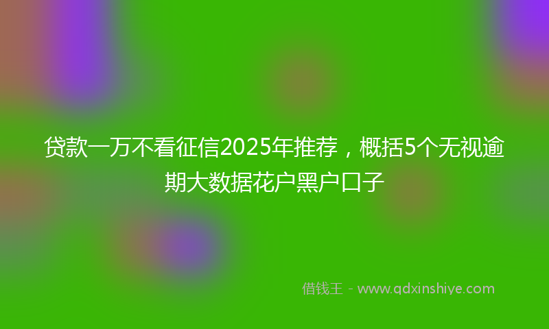 贷款一万不看征信2025年推荐，概括5个无视逾期大数据花户黑户口子