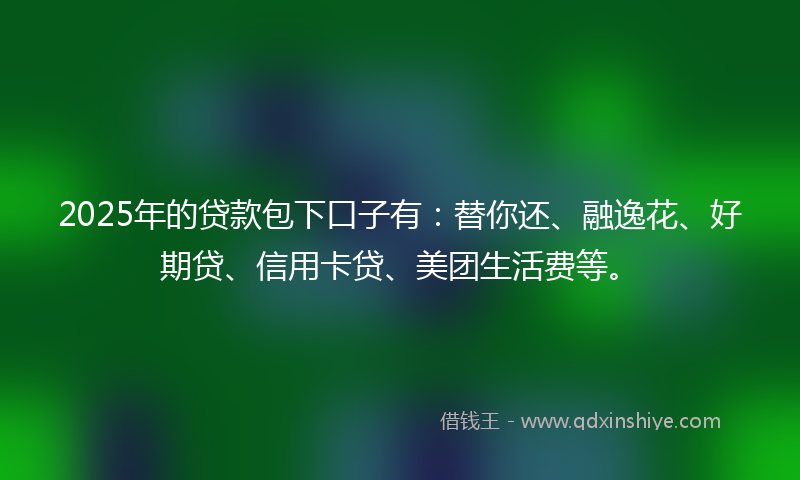 2025年的贷款包下口子有：替你还、融逸花、好期贷、信用卡贷、美团生活费等。