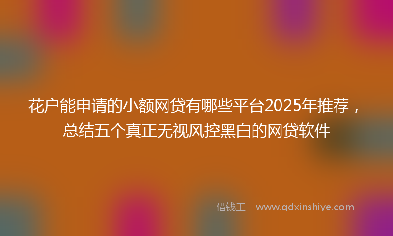 花户能申请的小额网贷有哪些平台2025年推荐，总结五个真正无视风控黑白的网贷软件