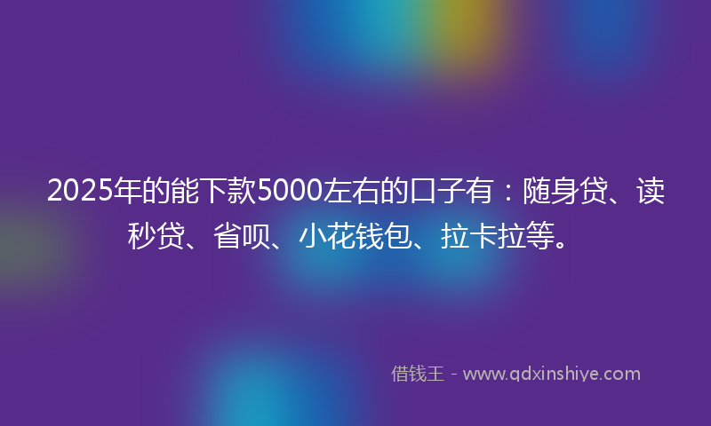 2025年的能下款5000左右的口子有：随身贷、读秒贷、省呗、小花钱包、拉卡拉等。