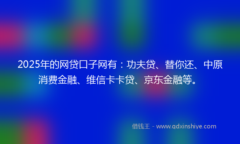 2025年的网贷口子网有：功夫贷、替你还、中原消费金融、维信卡卡贷、京东金融等。