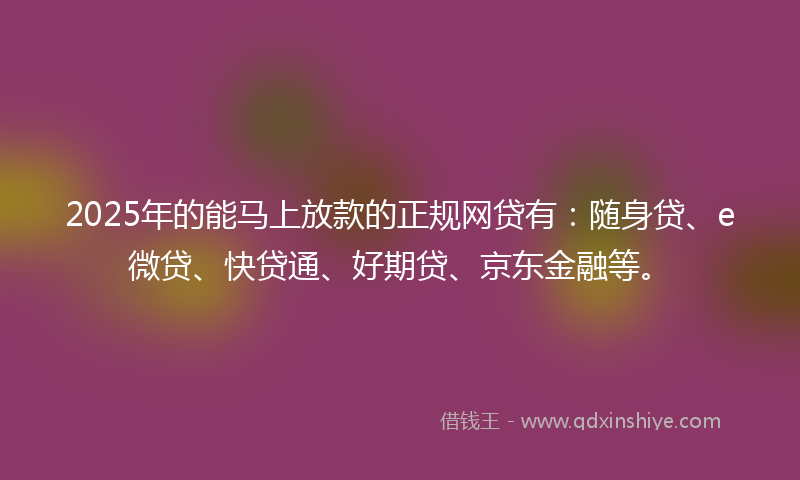 2025年的能马上放款的正规网贷有：随身贷、e微贷、快贷通、好期贷、京东金融等。