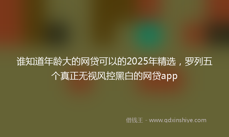 谁知道年龄大的网贷可以的2025年精选，罗列五个真正无视风控黑白的网贷app