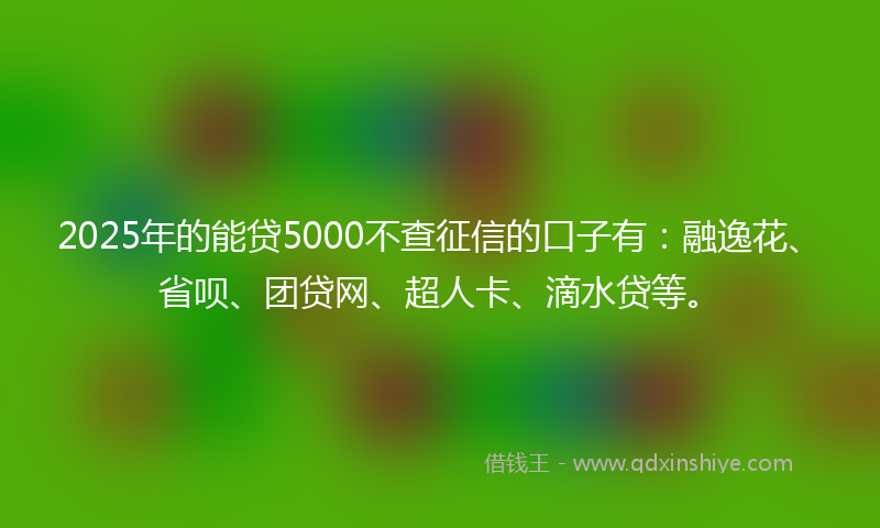 2025年的能贷5000不查征信的口子有：融逸花、省呗、团贷网、超人卡、滴水贷等。