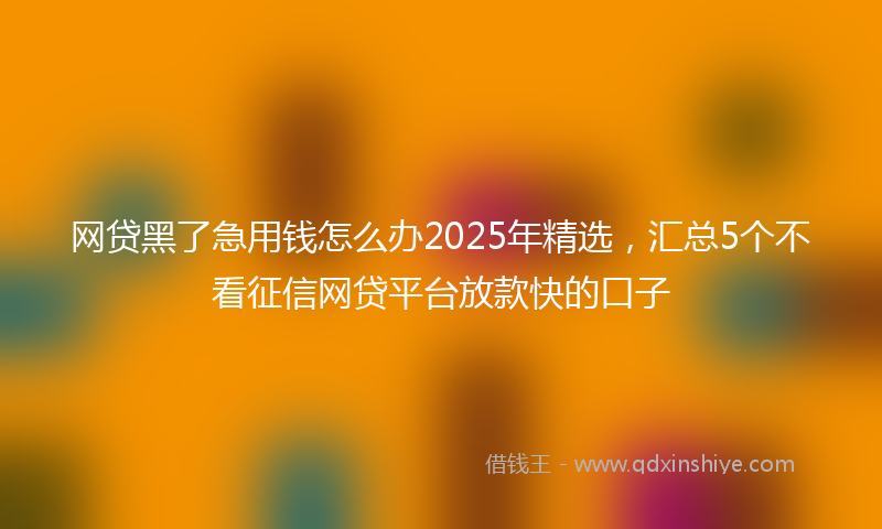 网贷黑了急用钱怎么办2025年精选，汇总5个不看征信网贷平台放款快的口子