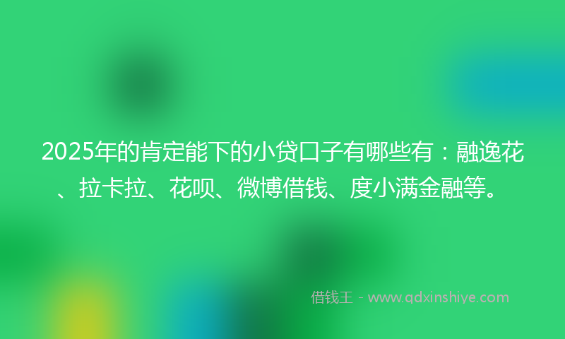 2025年的肯定能下的小贷口子有哪些有：融逸花、拉卡拉、花呗、微博借钱、度小满金融等。