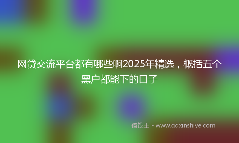 网贷交流平台都有哪些啊2025年精选，概括五个黑户都能下的口子