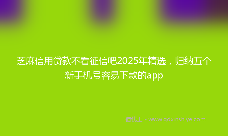 芝麻信用贷款不看征信吧2025年精选，归纳五个新手机号容易下款的app