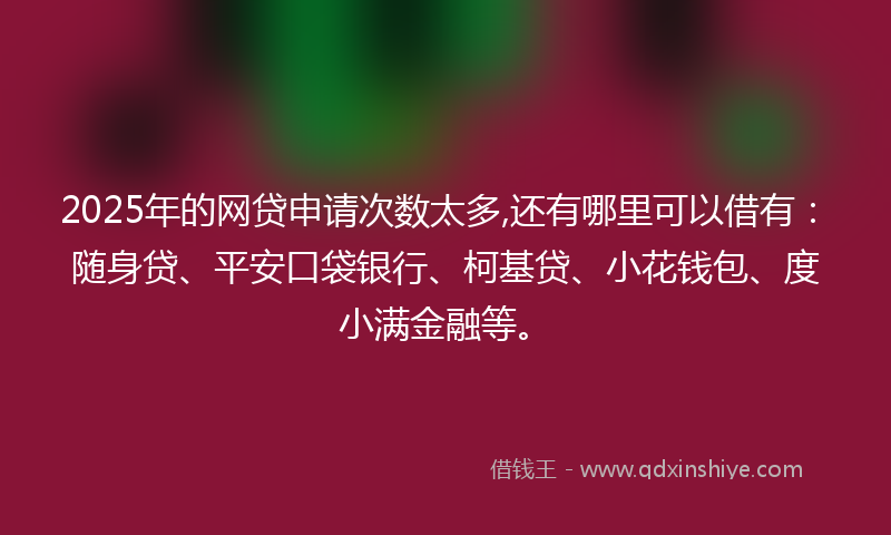 2025年的网贷申请次数太多,还有哪里可以借有：随身贷、平安口袋银行、柯基贷、小花钱包、度小满金融等。