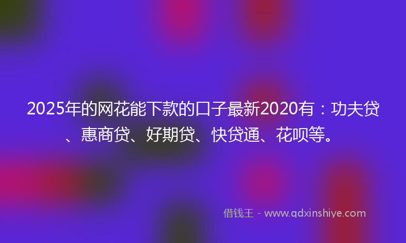2025年的网花能下款的口子最新2020有：功夫贷、惠商贷、好期贷、快贷通、花呗等。
