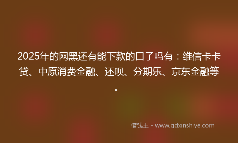 2025年的网黑还有能下款的口子吗有：维信卡卡贷、中原消费金融、还呗、分期乐、京东金融等。