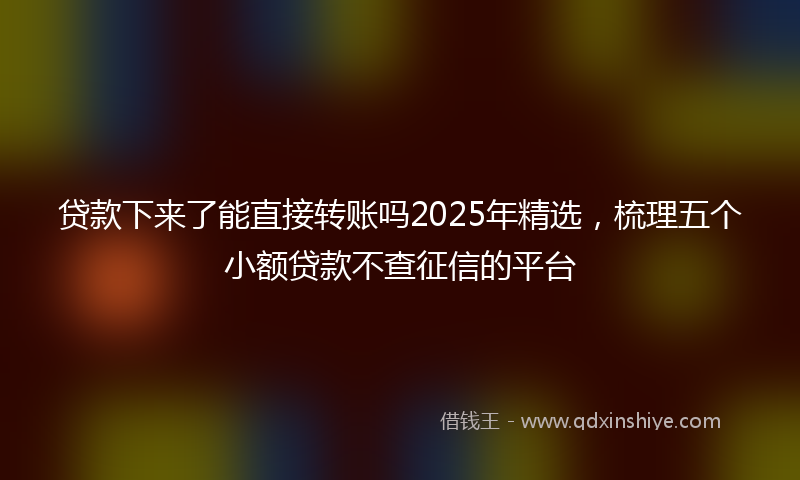 贷款下来了能直接转账吗2025年精选，梳理五个小额贷款不查征信的平台