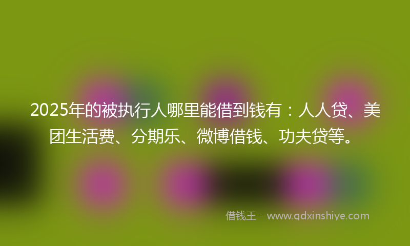 2025年的被执行人哪里能借到钱有：人人贷、美团生活费、分期乐、微博借钱、功夫贷等。