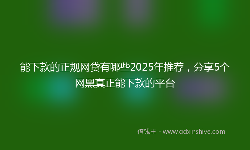 能下款的正规网贷有哪些2025年推荐，分享5个网黑真正能下款的平台