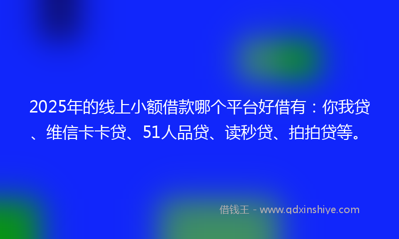 2025年的线上小额借款哪个平台好借有：你我贷、维信卡卡贷、51人品贷、读秒贷、拍拍贷等。
