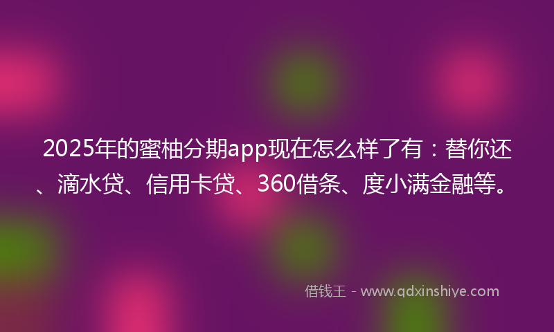 2025年的蜜柚分期app现在怎么样了有：替你还、滴水贷、信用卡贷、360借条、度小满金融等。