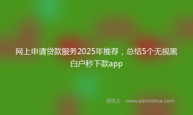 网上申请贷款服务2025年推荐，总结5个无视黑白户秒下款app