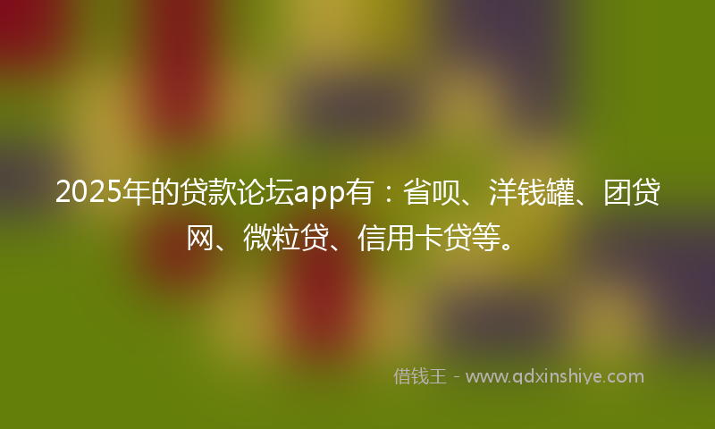 2025年的贷款论坛app有：省呗、洋钱罐、团贷网、微粒贷、信用卡贷等。