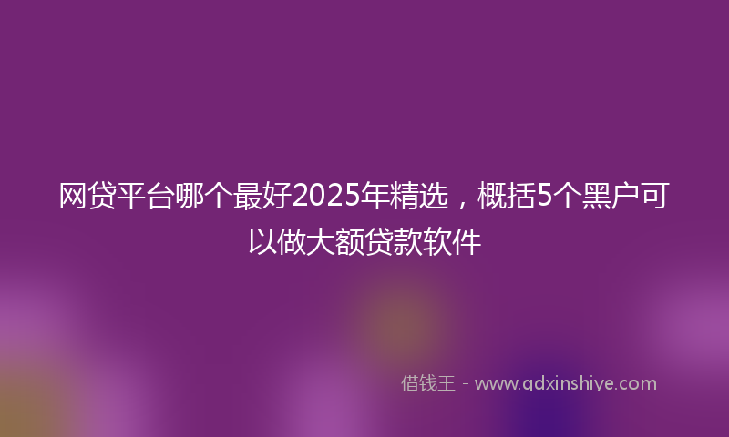 网贷平台哪个最好2025年精选，概括5个黑户可以做大额贷款软件