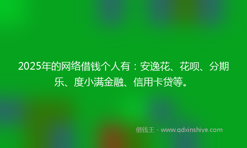 2025年的网络借钱个人有：安逸花、花呗、分期乐、度小满金融、信用卡贷等。