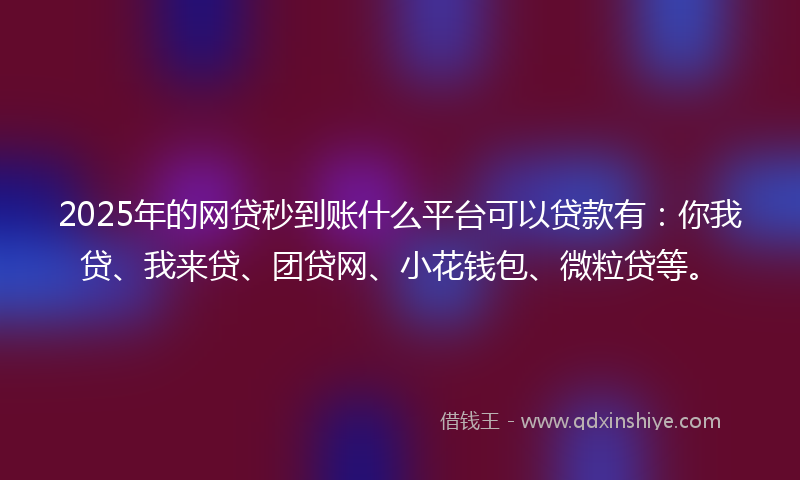 2025年的网贷秒到账什么平台可以贷款有：你我贷、我来贷、团贷网、小花钱包、微粒贷等。