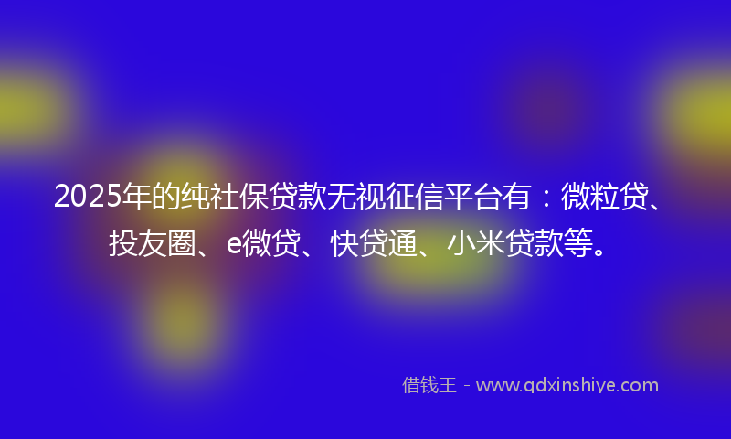 2025年的纯社保贷款无视征信平台有：微粒贷、投友圈、e微贷、快贷通、小米贷款等。