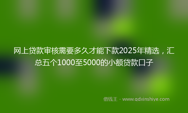 网上贷款审核需要多久才能下款2025年精选，汇总五个1000至5000的小额贷款口子