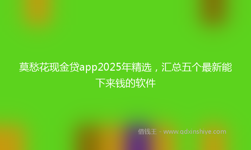 莫愁花现金贷app2025年精选，汇总五个最新能下来钱的软件