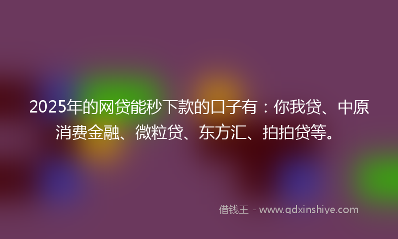 2025年的网贷能秒下款的口子有：你我贷、中原消费金融、微粒贷、东方汇、拍拍贷等。