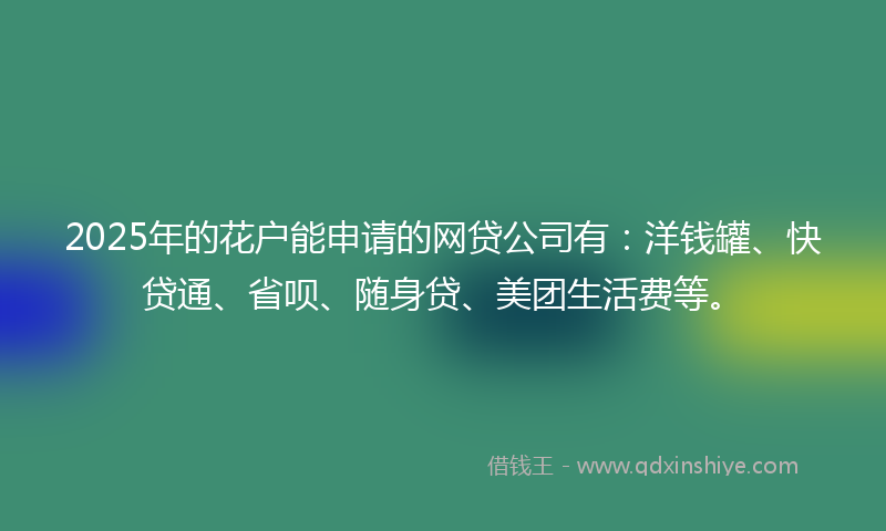 2025年的花户能申请的网贷公司有：洋钱罐、快贷通、省呗、随身贷、美团生活费等。
