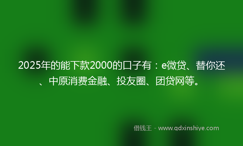 2025年的能下款2000的口子有：e微贷、替你还、中原消费金融、投友圈、团贷网等。