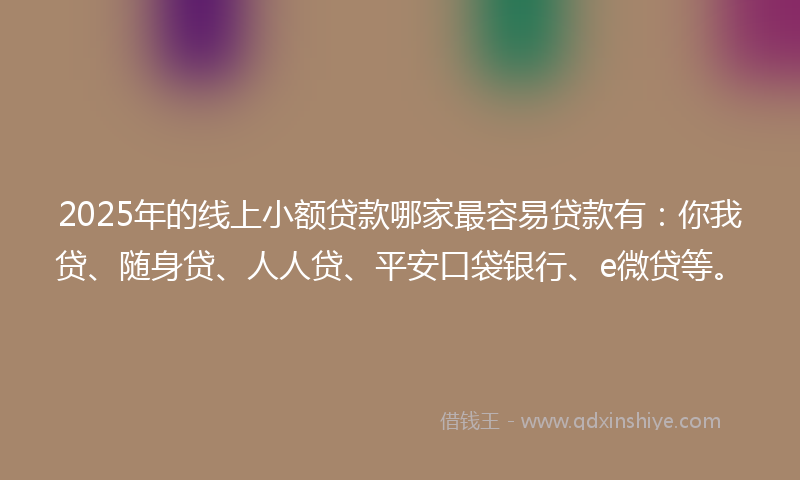 2025年的线上小额贷款哪家最容易贷款有：你我贷、随身贷、人人贷、平安口袋银行、e微贷等。