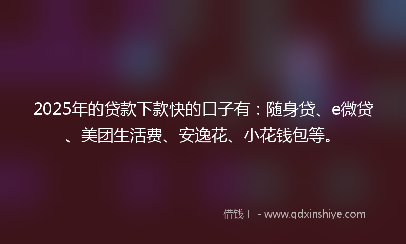 2025年的贷款下款快的口子有：随身贷、e微贷、美团生活费、安逸花、小花钱包等。