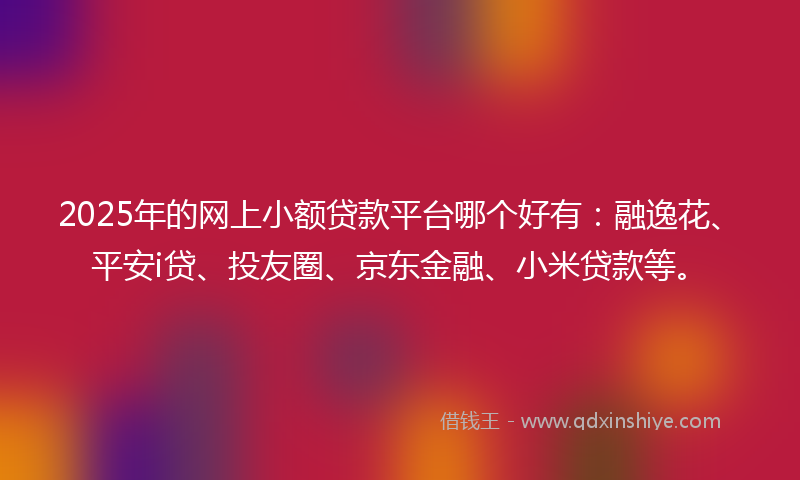 2025年的网上小额贷款平台哪个好有：融逸花、平安i贷、投友圈、京东金融、小米贷款等。