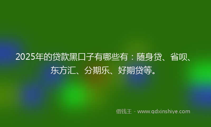 2025年的贷款黑口子有哪些有：随身贷、省呗、东方汇、分期乐、好期贷等。
