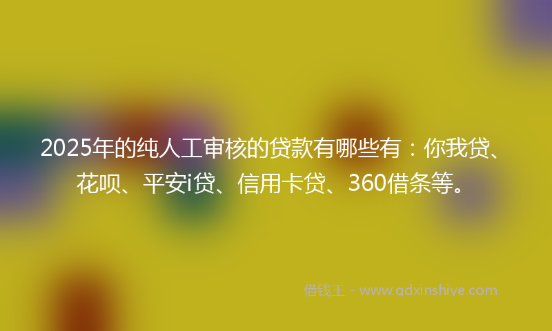 2025年的纯人工审核的贷款有哪些有：你我贷、花呗、平安i贷、信用卡贷、360借条等。