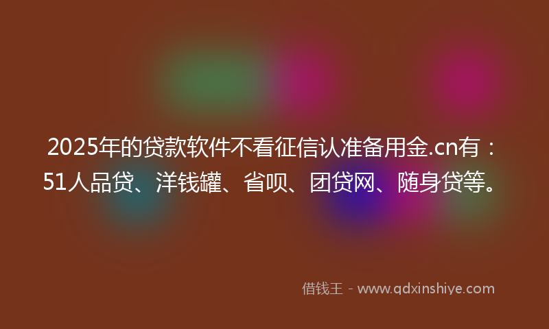 2025年的贷款软件不看征信认准备用金.cn有：51人品贷、洋钱罐、省呗、团贷网、随身贷等。